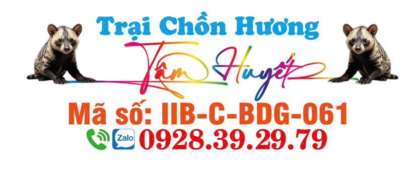 Trang Trại Chồn Hương Bình Duong